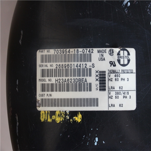 布里斯托H23A623DBE